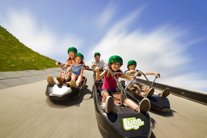 Private Tour - Rotorua Adventures Day Trip From Auckland - Who this Rotorua private day trip suits best