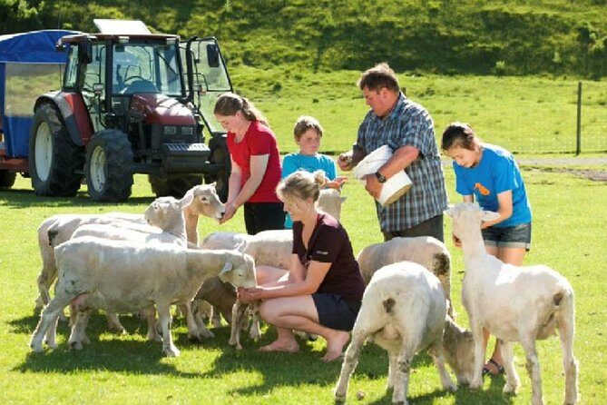 Private Tour - Rotorua Adventures Day Trip From Auckland - Agrodome Farmyard: kiwi farm vibes and baby-animal time