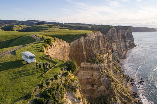 Private tour to Cape Kidnappers Gannet Colony - What this private Cape Kidnappers safari really delivers