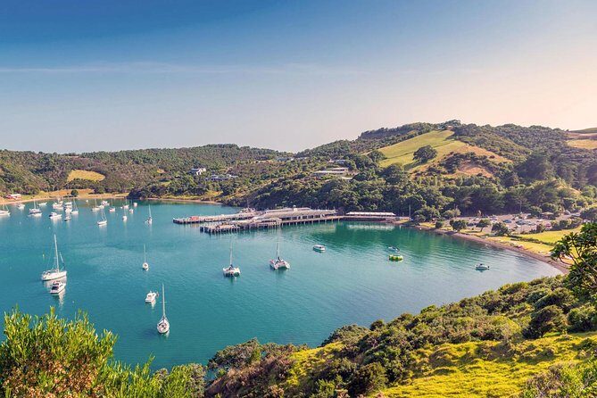 Private Tour - Waiheke Island Luxury Experience - Key things that make this Waiheke day work