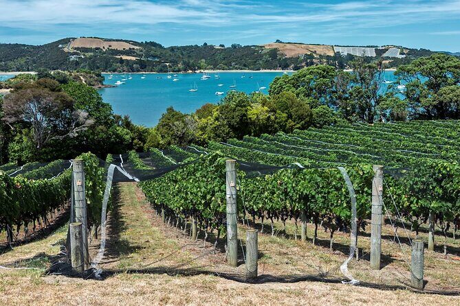 Private Tour - Waiheke Island Luxury Experience - The beach picnic lunch: included, practical, and part of the charm