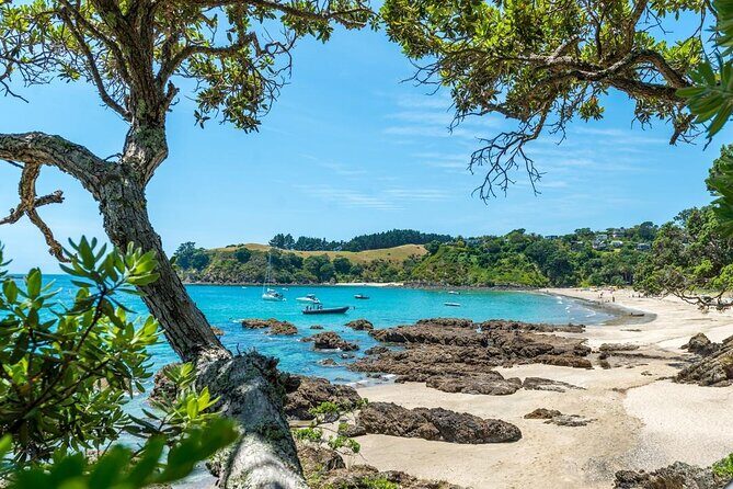 Private Tour - Waiheke Island Luxury Experience - Weather and timing: the one thing you can’t control