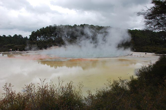 Private Tour Waiotapu Geothermal Shore Excursion up to 8 passengers - A private Rotorua day from Tauranga: what you’re really buying