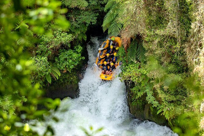 Private Tour Waiotapu Geothermal Shore Excursion up to 8 passengers - Meet your guide experience: what Wendy’s style adds to the day