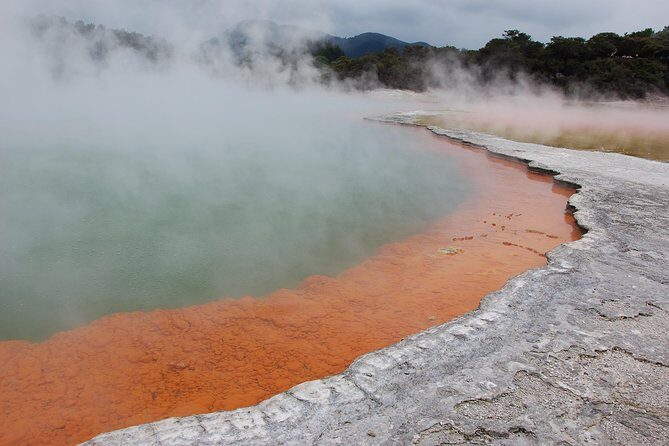 Private Tour Waiotapu Geothermal Shore Excursion up to 8 passengers - Whakarewarewa Redwood Forest: a calm walk before the boiling stops