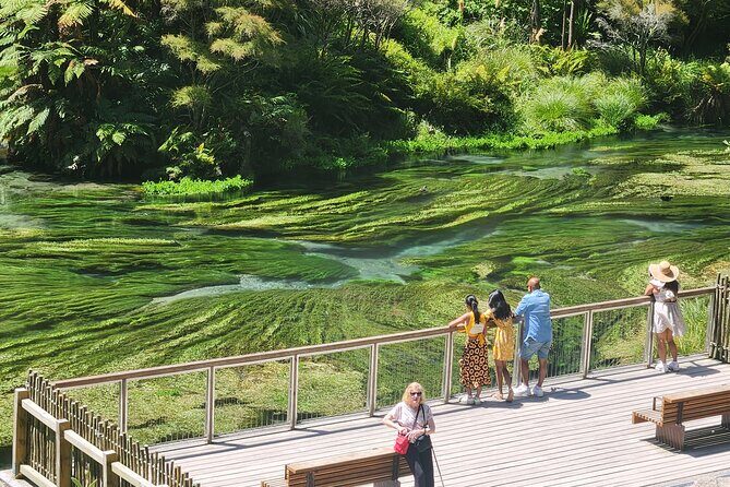 Private Tour WaiOtapu & Huka Falls & Blue springs from Auckland - Key highlights at a glance