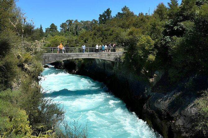 Private Tour WaiOtapu & Huka Falls & Blue springs from Auckland - Blue Spring near Putāruru: a walk you’ll remember for the reason, not just the color