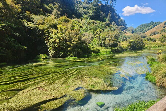 Private Tour WaiOtapu & Huka Falls & Blue springs from Auckland - The 6:00 am start: worth it, but plan like it’s a mission