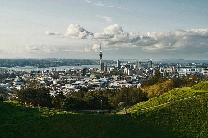 Private Tour: Waitomo Caves Day Trip from Auckland - The drive to Waitomo: timing, comfort, and what to expect