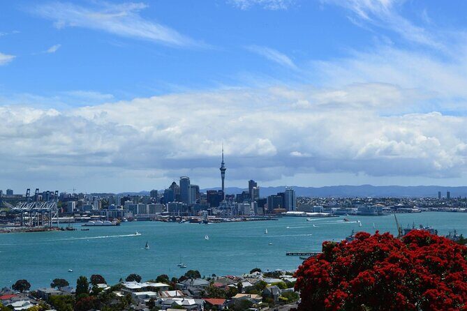 Private Transfer From Auckland Airport To Rotorua - Price and value: what you’re paying for (and what you aren’t)
