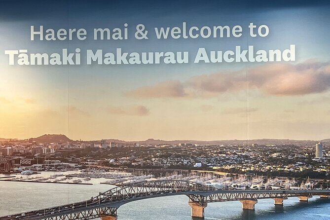 Private Transfer From Auckland Airport To Rotorua - Who this transfer is best for (and who might want something else)