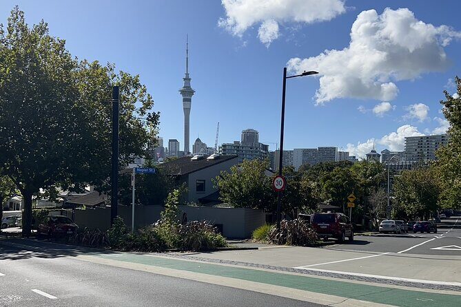 Private Transfer From Auckland City To Auckland Airport - The Airport Drop-Off: Getting to the Right Place, Fast
