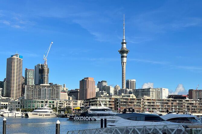 Private Transfer From Auckland City To Auckland Airport - Where You Meet the Driver (and Why That Matters)
