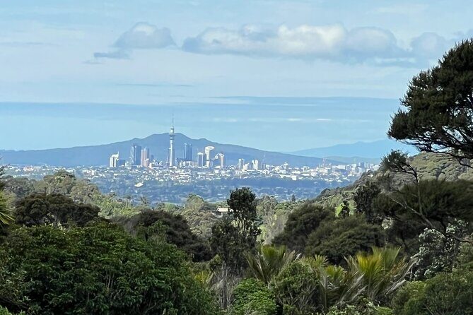 Private Transfer From Auckland International Airport To Auckland City - Luggage Handling: More Than Just Convenience
