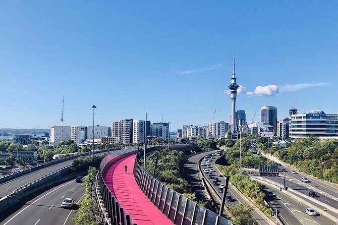Private Transfer From Cruise Ship To Auckland Airport - What the Driver Actually Adds (Beyond Just Getting You There)