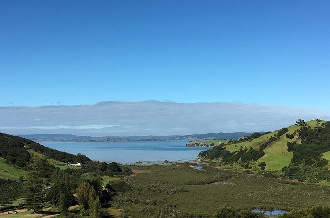 Private Vineyard Bush Walk Tour in Waiheke Island - Rolling hills, valley views, and vineyard country