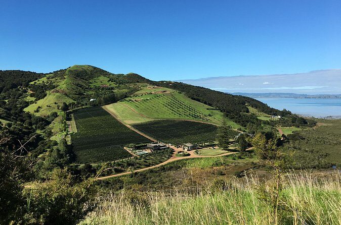 Private Vineyard Bush Walk Tour in Waiheke Island - Guides can make or break the day: Renee, Dell, Justine, Cindy, Barbara