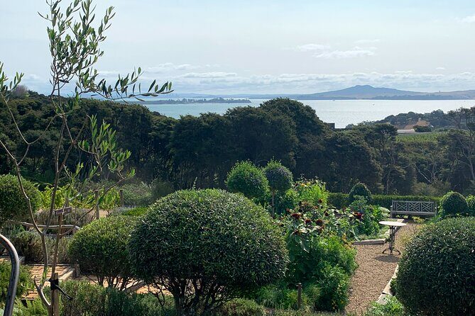 Private Vineyard Bush Walk Tour in Waiheke Island - Price and value: what $434.40 gets you