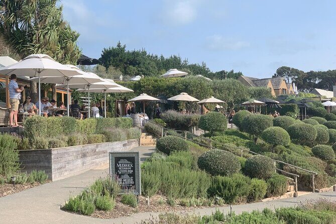 Private Waiheke Food & Wine Tour - Coastline viewpoints first: learning the island while you take in the Hauraki Gulf