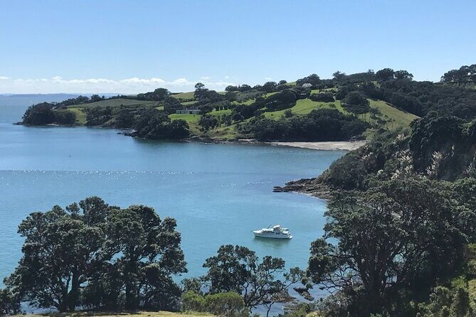 Private Waiheke Food & Wine Tour - Timing and pace: a 6-hour day that doesn’t waste your time