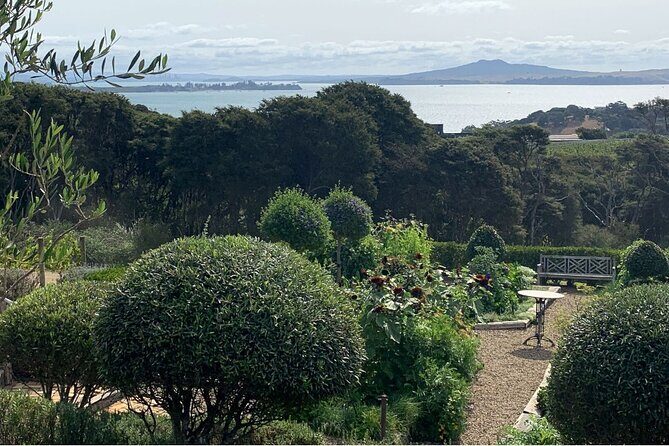 Private Waiheke Food & Wine Tour - Getting there: Oneroa meeting point and a smooth 9:45am start