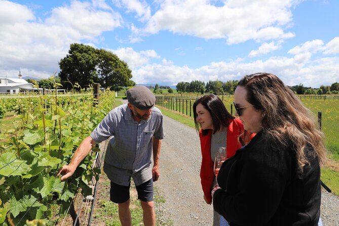 Private Wairarapa Wine Delights Tour from Wellington - How a private Wairarapa wine day trip runs from Wellington