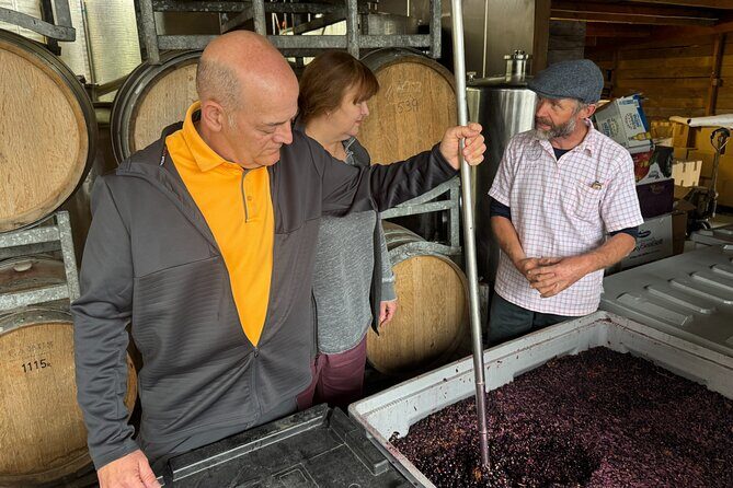 Private Wairarapa Wine Delights Tour from Wellington - Gladstone Vineyard: a focused cellar door tasting (Sauvignon through Syrah)