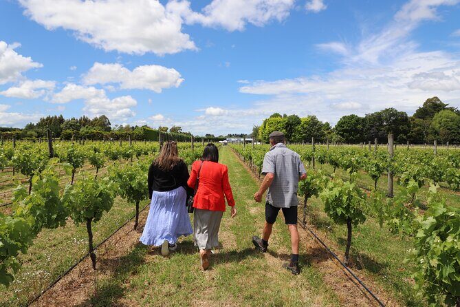 Private Wairarapa Wine Delights Tour from Wellington - Remutaka Hill summit: views and the Remutaka Crossing monument