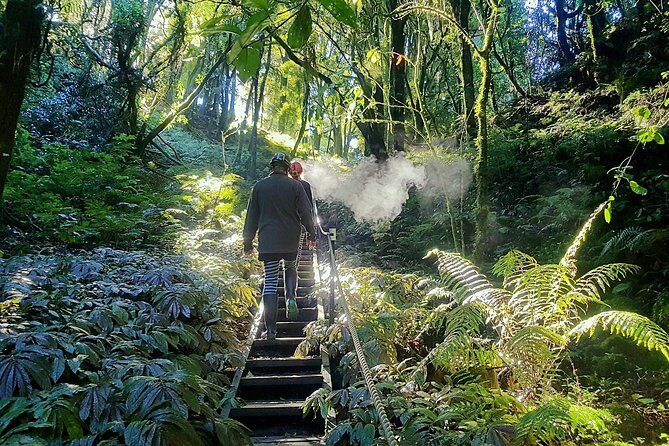 Private Waitomo Glowworm Cave Tours - Fitness Level: How Much Effort This Waitomo Tour Really Takes