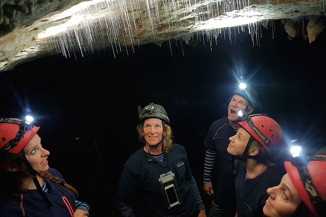 Private Waitomo Glowworm Cave Tours - Price and Value: $682.01 Per Group and What That Means