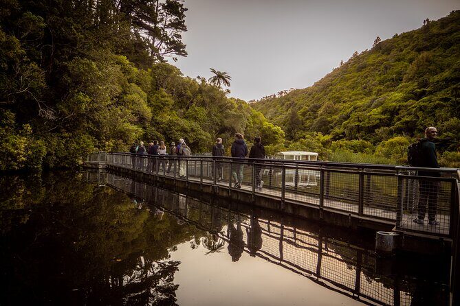 Private Wellington Craft Beer Full Day Tour - Parrotdog Brewery (45 Minutes): Wellington’s Character in a Tasting Slot