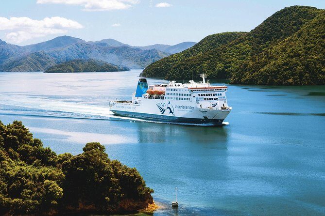 Private Wellington Craft Beer Half Day Tour - The onboard guide: more than a driver with directions