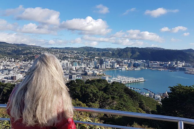 Private Wellington Full Day Sightseeing Tour - A private Wellington day that feels organized