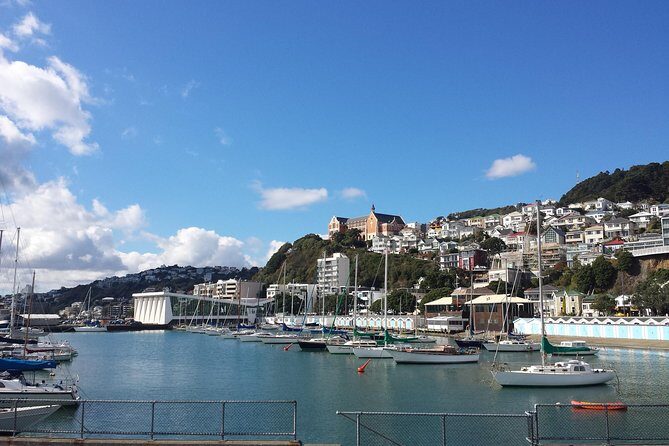 Private Wellington Full Day Sightseeing Tour - Stop 2: Weta Workshop and Weta Cave movie-making magic