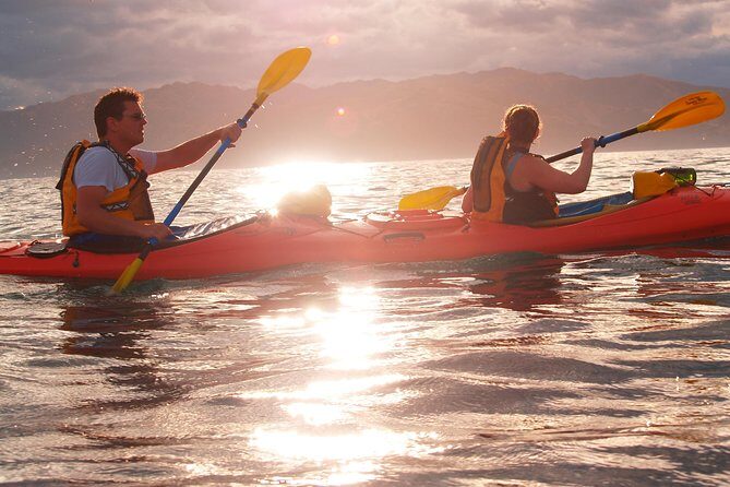 Private Wildlife Kayaking Tour - Kaikoura - Kaikoura Kayaks private wildlife paddling: what makes it feel special