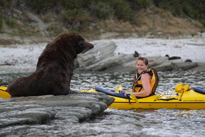 Private Wildlife Kayaking Tour - Kaikoura - Stop 1: Kaikoura Peninsula Walkway—scenery first, then you’re on the move