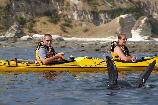Private Wildlife Kayaking Tour - Kaikoura - How it works on the water: paddling time, pace, and what you’ll actually do