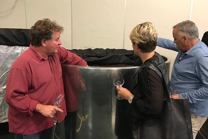 Private Wine Gourmet and Scenic Delights Tour from Picton - How the day starts in Picton (and why timing matters)