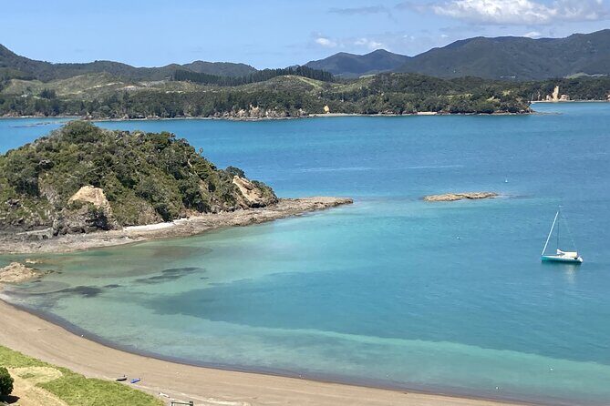 Private Yacht Charter and Island Excursions in the Bay of Islands - Predator-free island time and what “well-trodden trails” means for you