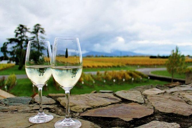 Progressive Wine and Gourmet Trail of Marlborough - Key things to know before you go