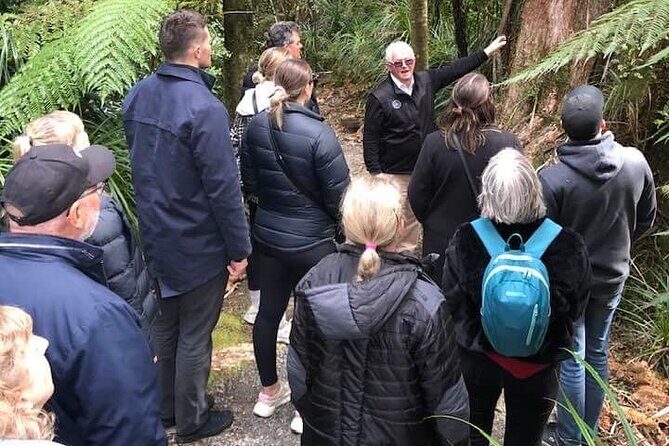Punakaiki Blow Holes & Pancake Rocks Scenic Tour - Who this tour is best for (and who should reconsider)