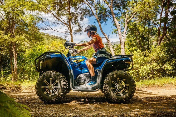 Quad Bike - Bayview Circuit - Your Bayview Circuit route: native forest, farm tracks, and Cable Bay views
