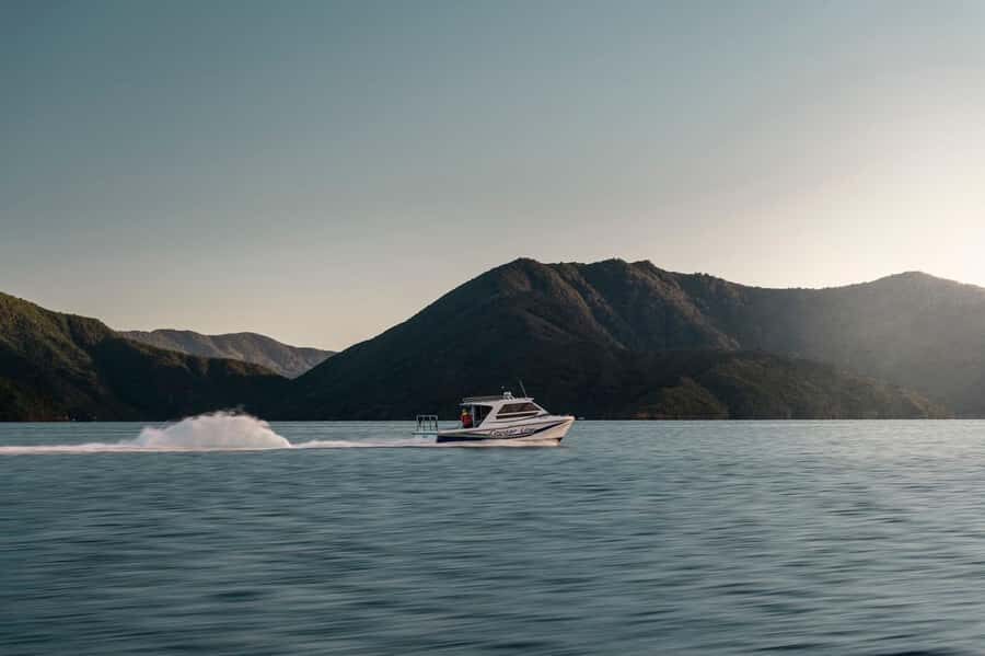 Queen Charlotte Sound Cruise with Lunch - How the Day Flows: Picton to Endeavour Inlet and Back