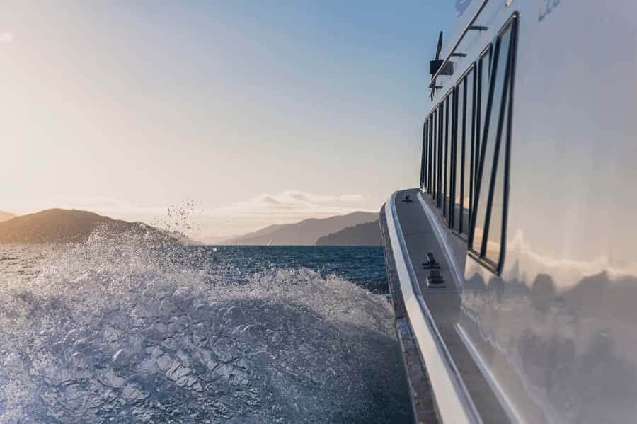 Queen Charlotte Sound Cruise with Lunch - The Short Walk and Lodge Time: How to Spend It Without Rushing