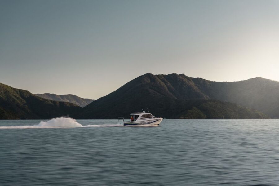 Queen Charlotte Sound Cruise with Lunch - Weather Reality Check: What Can Go Right, and What Might Go Sideways