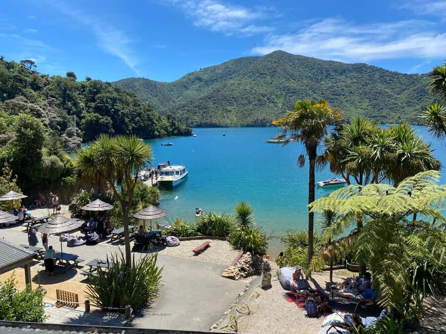 Queen Charlotte Sound: Lochmara Cruise & Explore 9-2.45 - Key things to know before you go