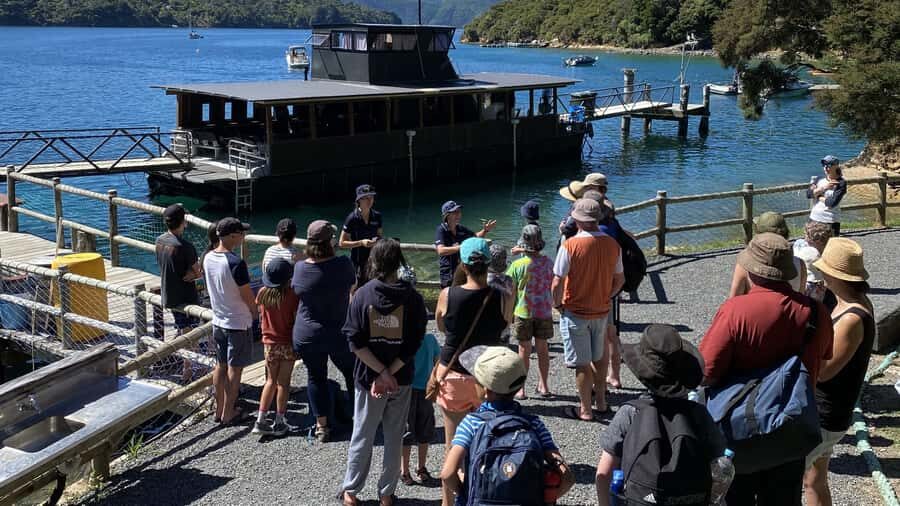 Queen Charlotte Sound: Lochmara Cruise & Explore 9-2.45 - What you actually get for $56: value that comes from real inclusions