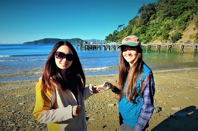 Queen Charlotte Track - Ultimate one Day Walk and Cruise - Who should book this, and who might prefer something else