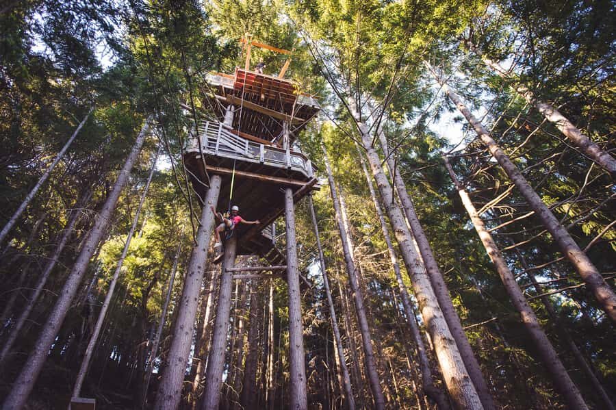 Queenstown: 1-Hour Zipline Tour with 2-Lines & 21-Meter Drop - The Tiki Trail finish: a short uphill walk that’s easy to underestimate