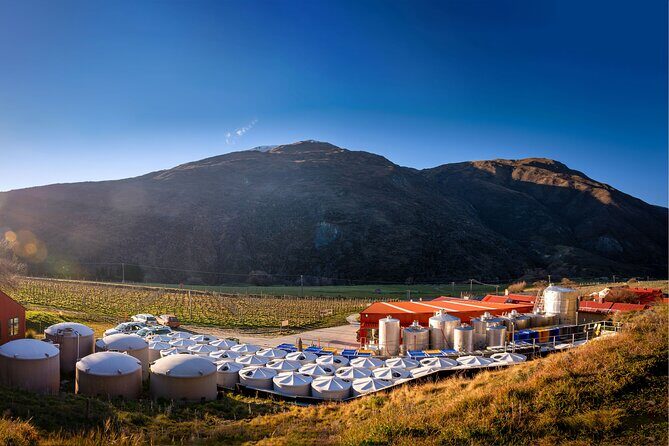 Queenstown Afternoon Wine Tour - Peregrine | Kinross | Amisfield - Stop 4: Amisfield Cellar Door with stone architecture and views